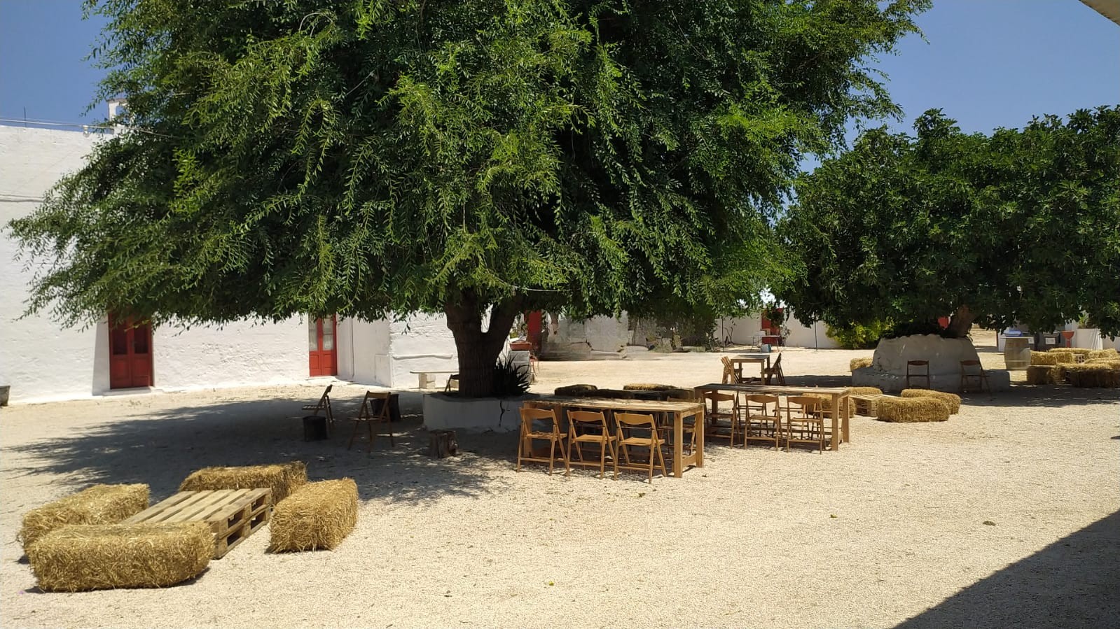 Rural masseria courtyard under an old tree in Puglia, Italy — rustic wedding venue